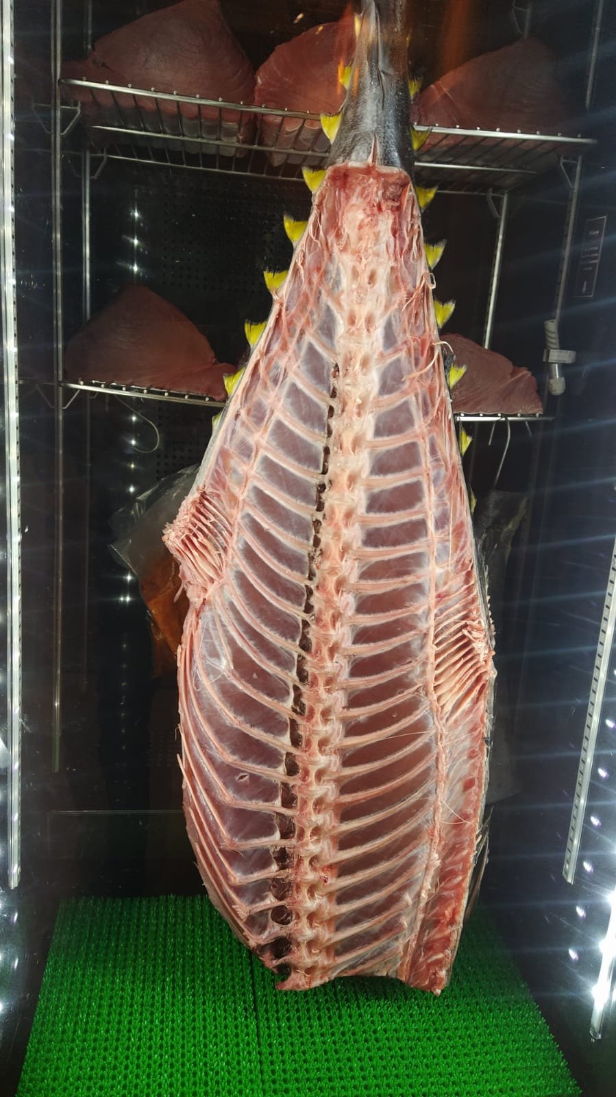 Peixe maturado inteiro, pendurado para controle de umidade e circulação de ar.