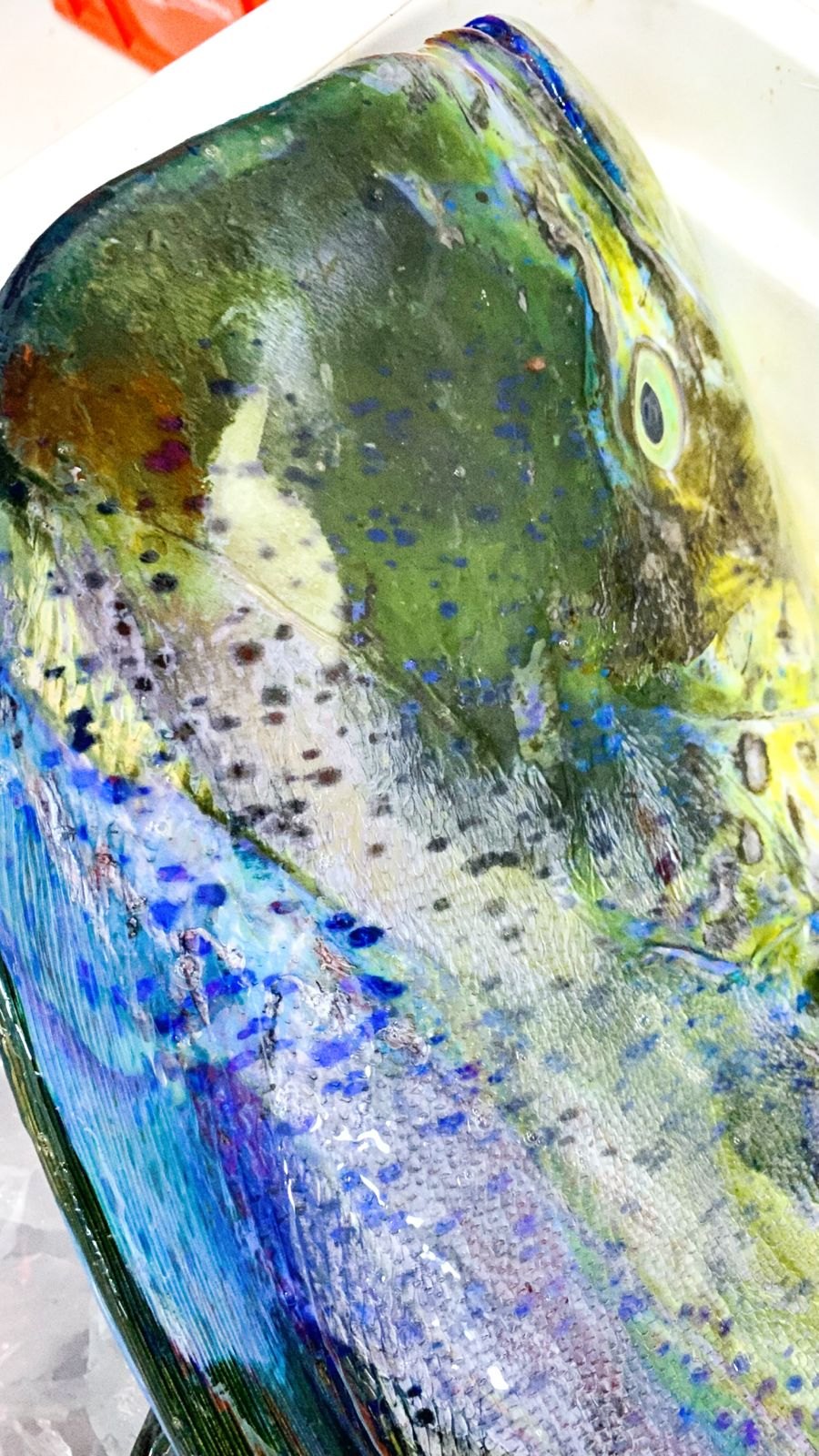 Recorte de cor e textura para destacar a beleza natural do pescado antes da técnica.