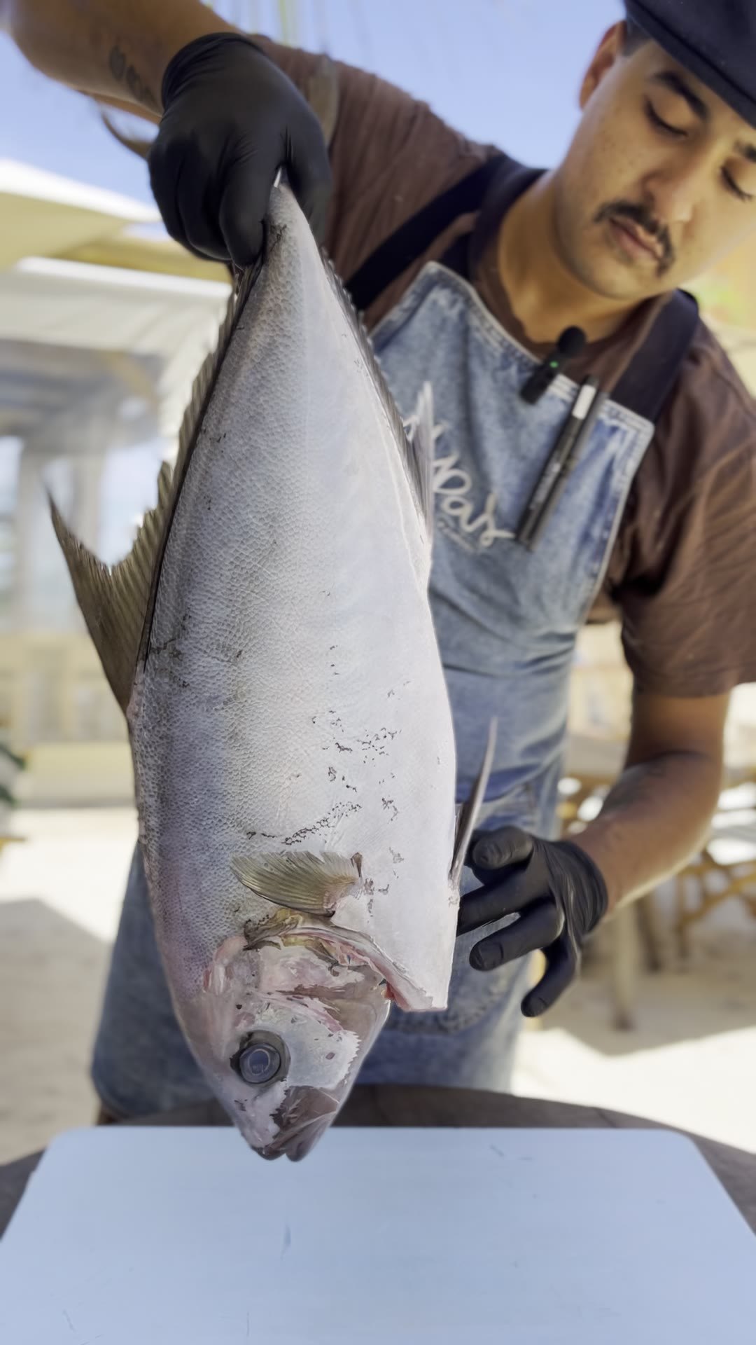Do peixe inteiro ao prato: escala, filé, montagem e finalização como leitura completa do produto.