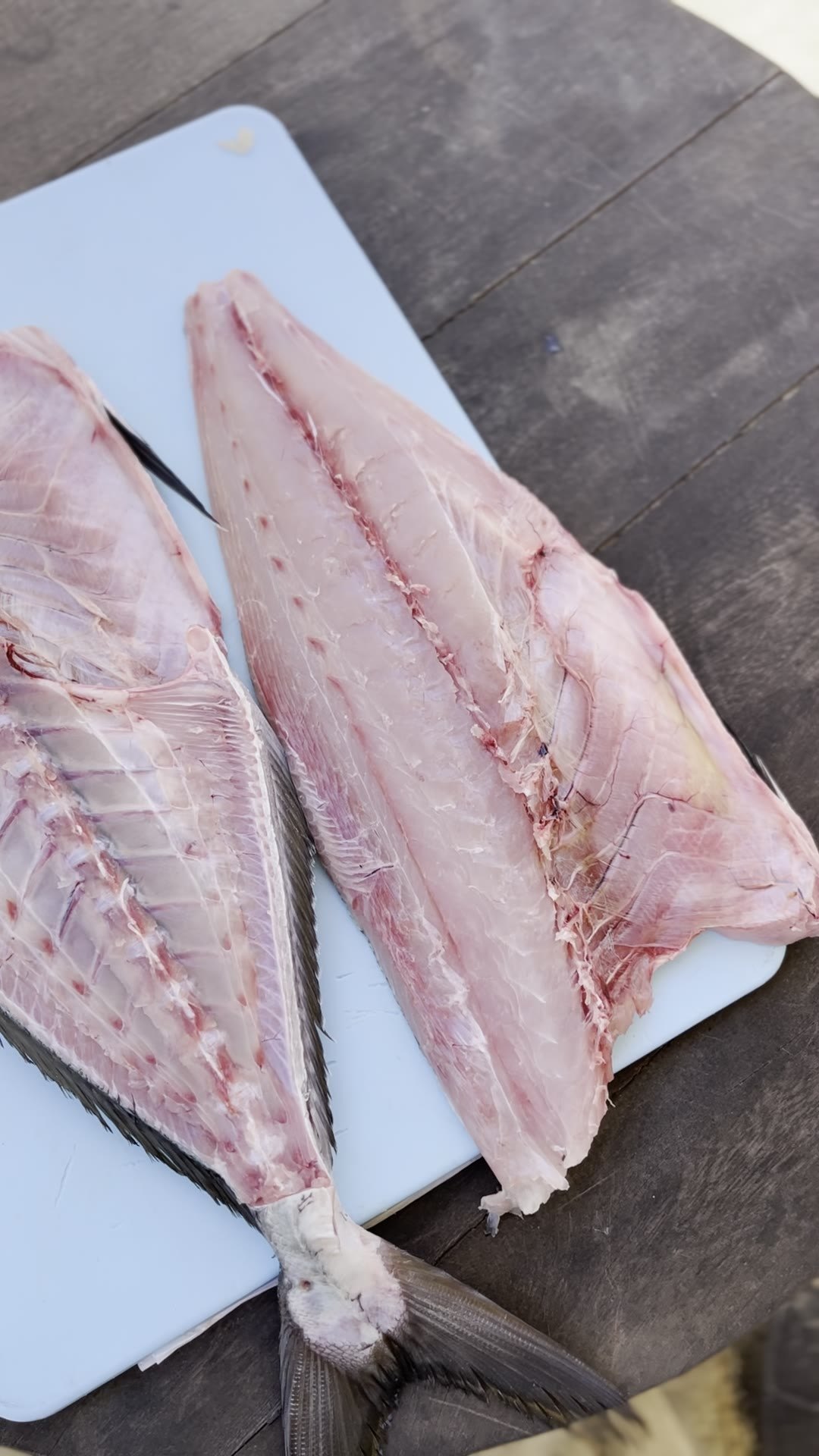 Do peixe inteiro ao prato: escala, filé, montagem e finalização como leitura completa do produto.