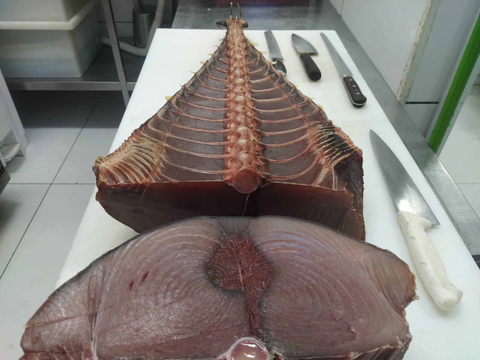 Seções grandes do atum organizadas como estudo visual de anatomia.